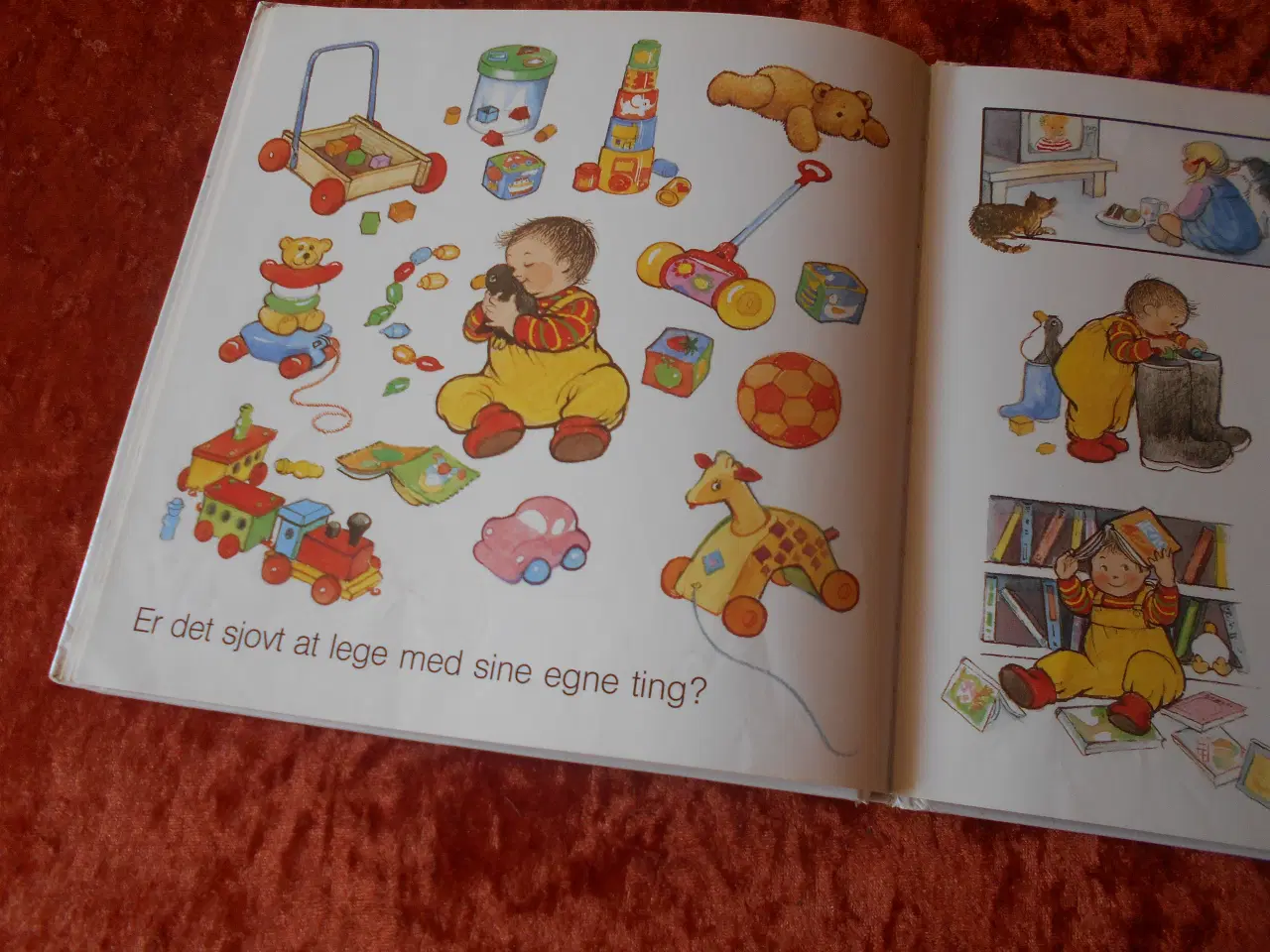 Billede 4 - Bogen om dig, Tony Bradman