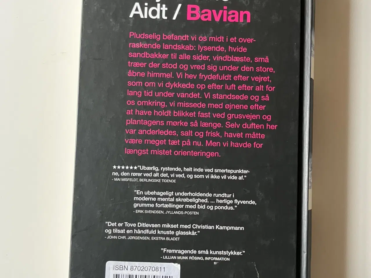 Billede 2 - Bavian. Af Naja Marie Aidt