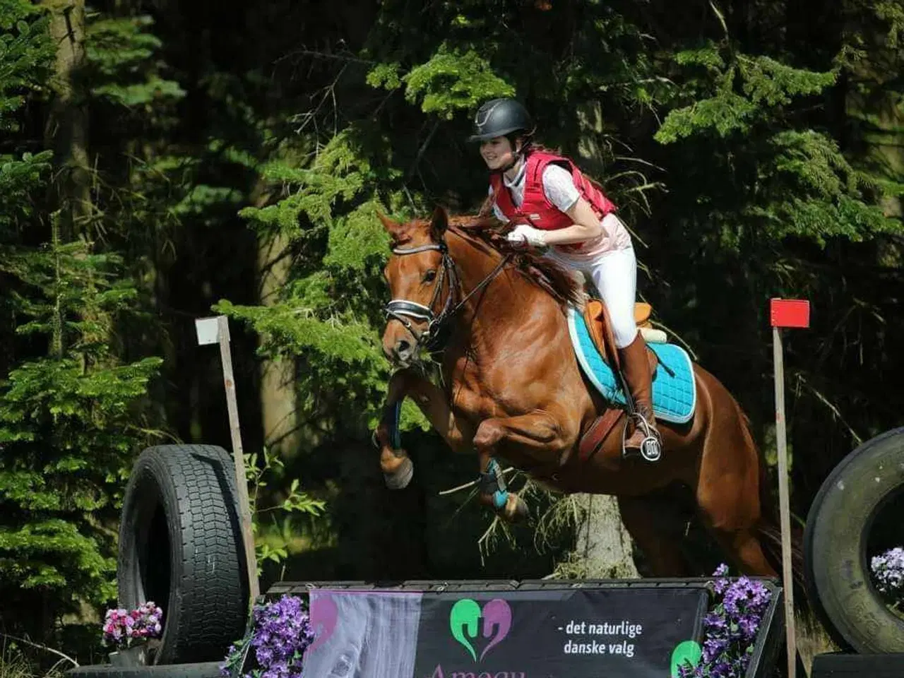 Billede 11 - Dsp hoppe plag