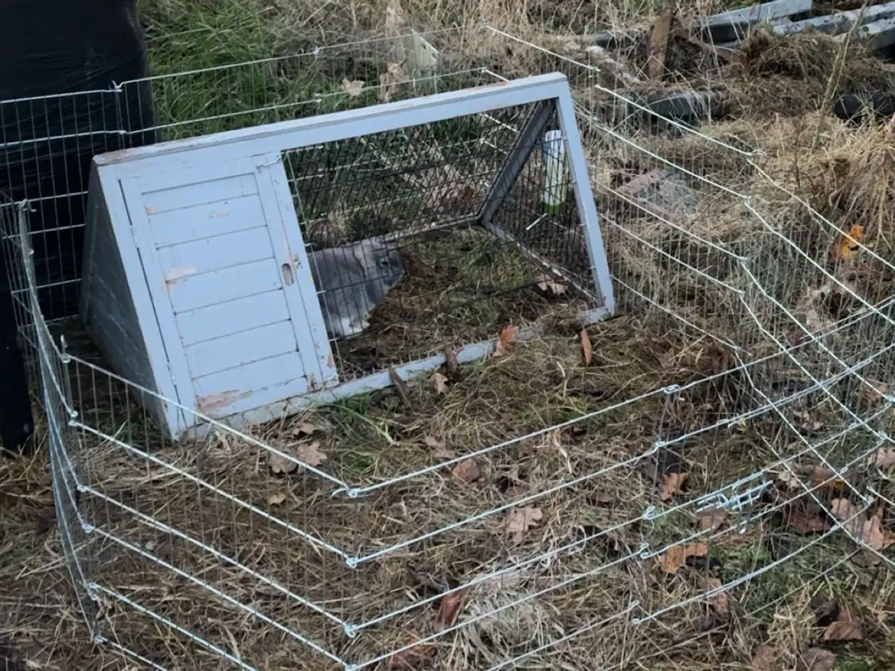 Billede 4 - Stor kanin pakke