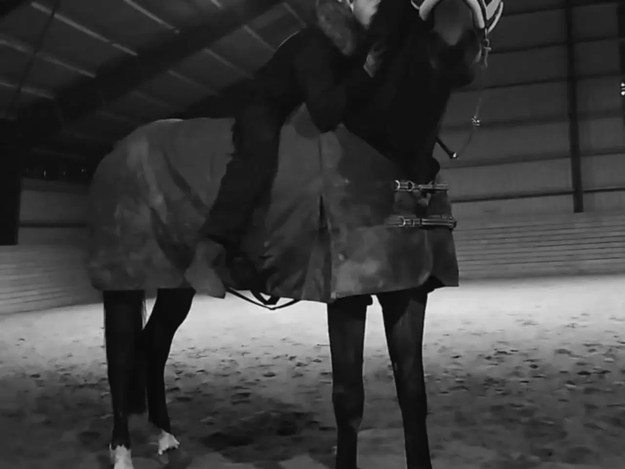 Billede 3 - Lilla Regn (Rain)