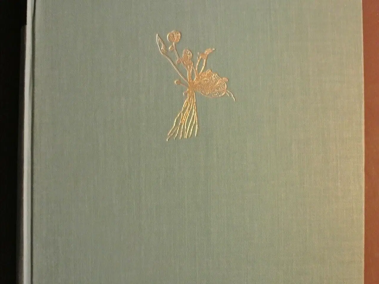 Billede 1 - botanisk atlas danmarks dækfrøede planter, tegnede