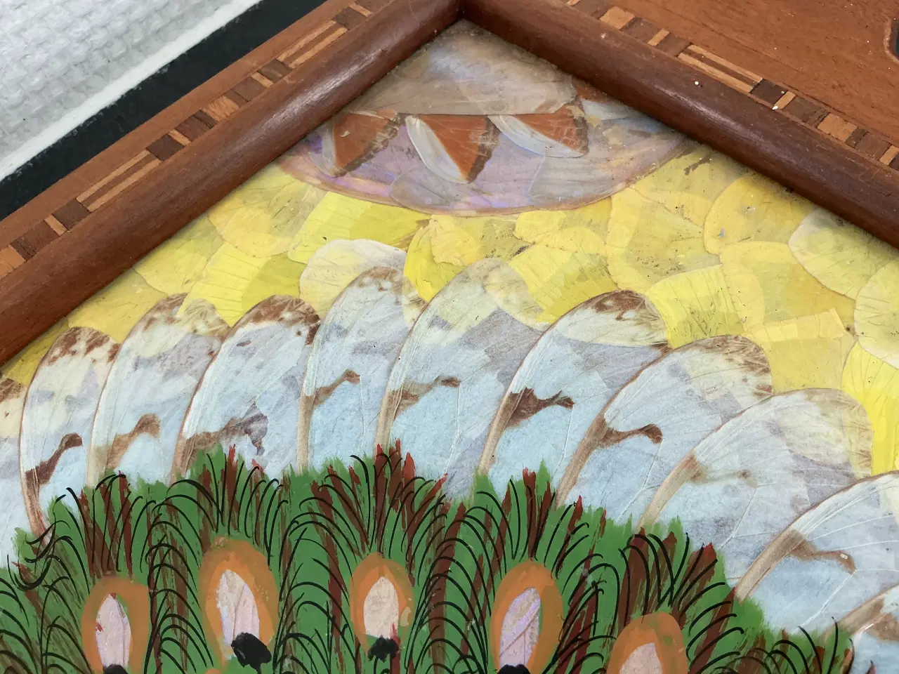 Billede 4 - Sommerfuglebakke