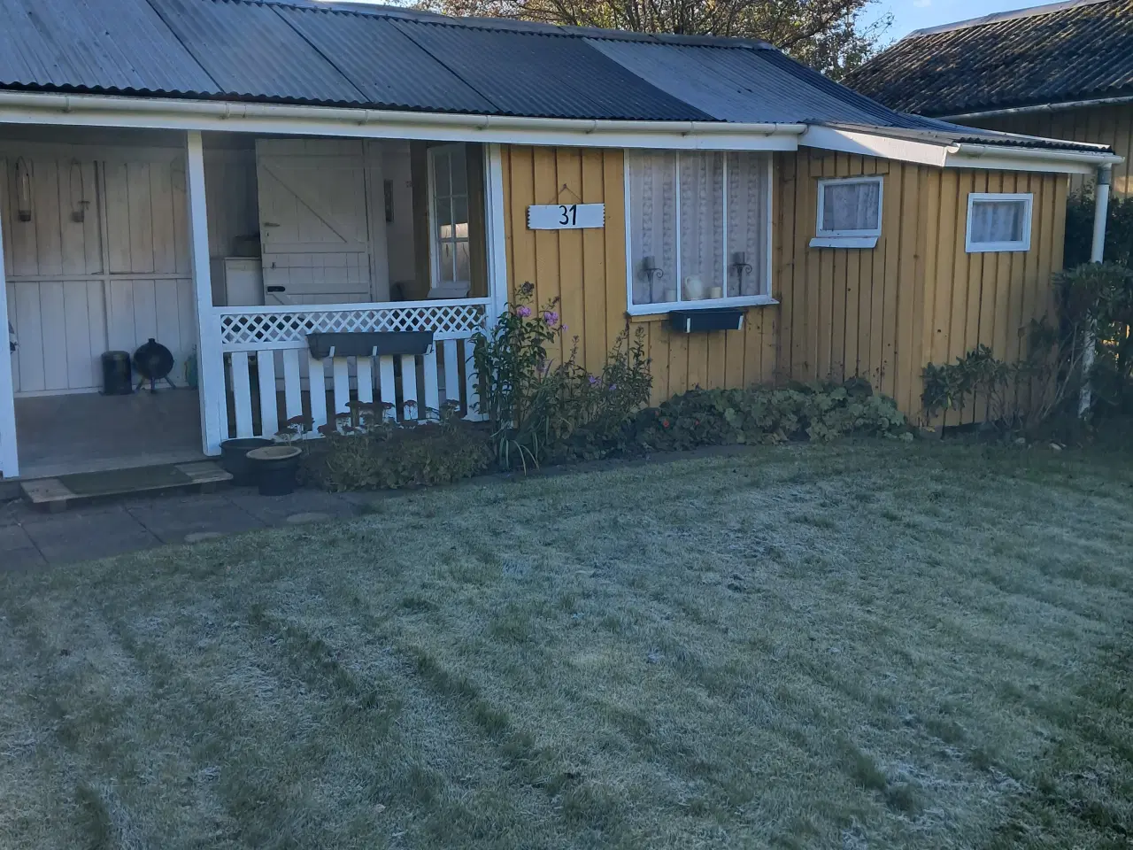 Billede 2 - Kolonihave I Vejle