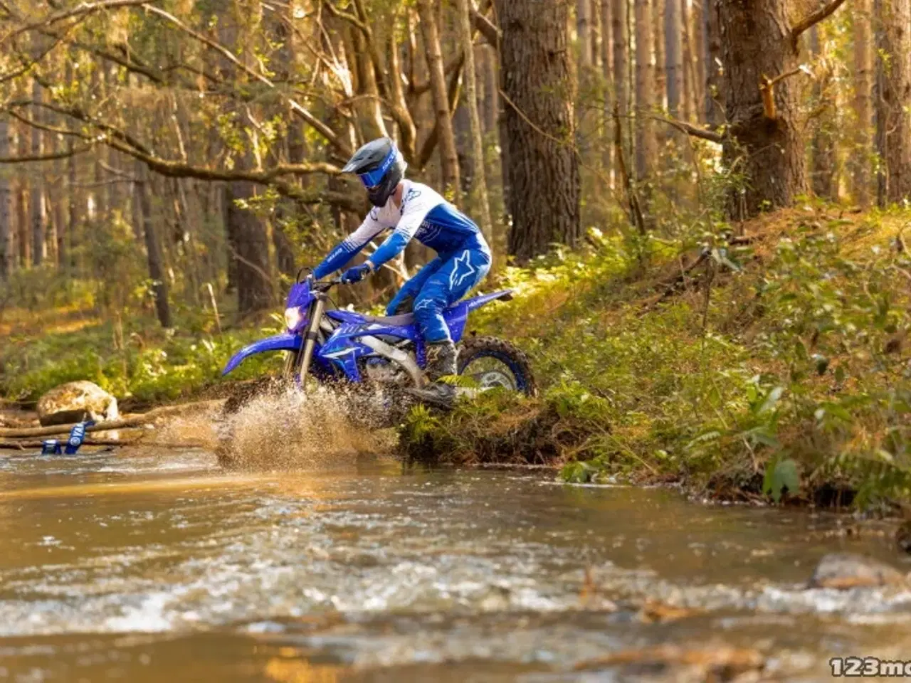 Billede 6 - Yamaha WR 250 F