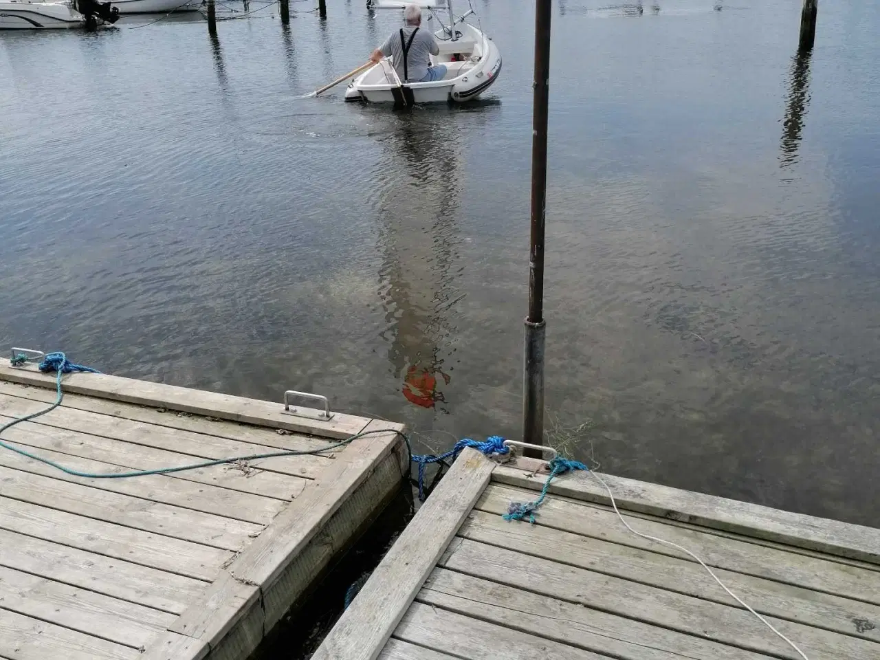 Billede 12 - Pæn Winga 30