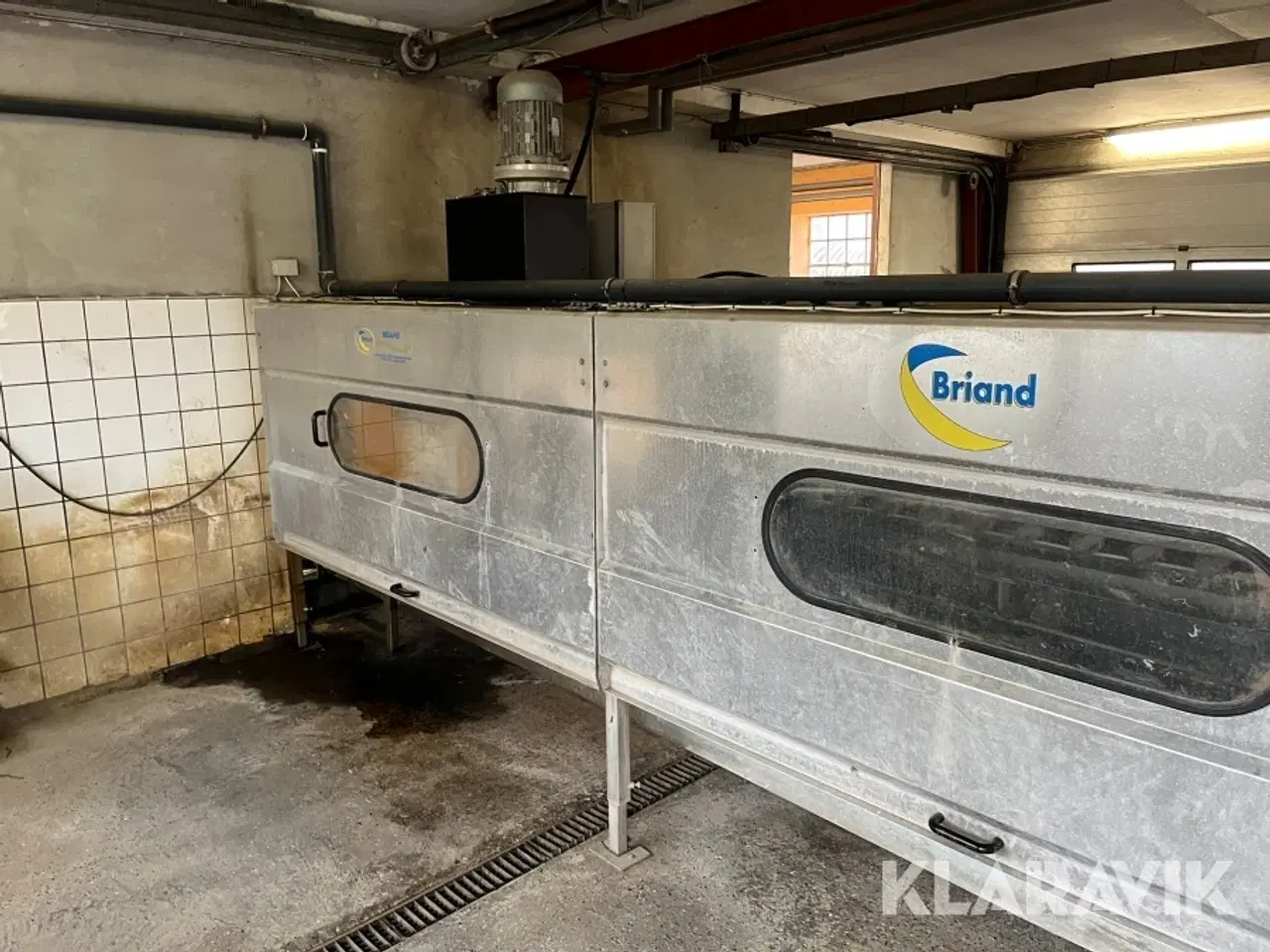 Billede 11 - Vaske/Pakke anlæg Briand EP2350 porre/løg/rababer