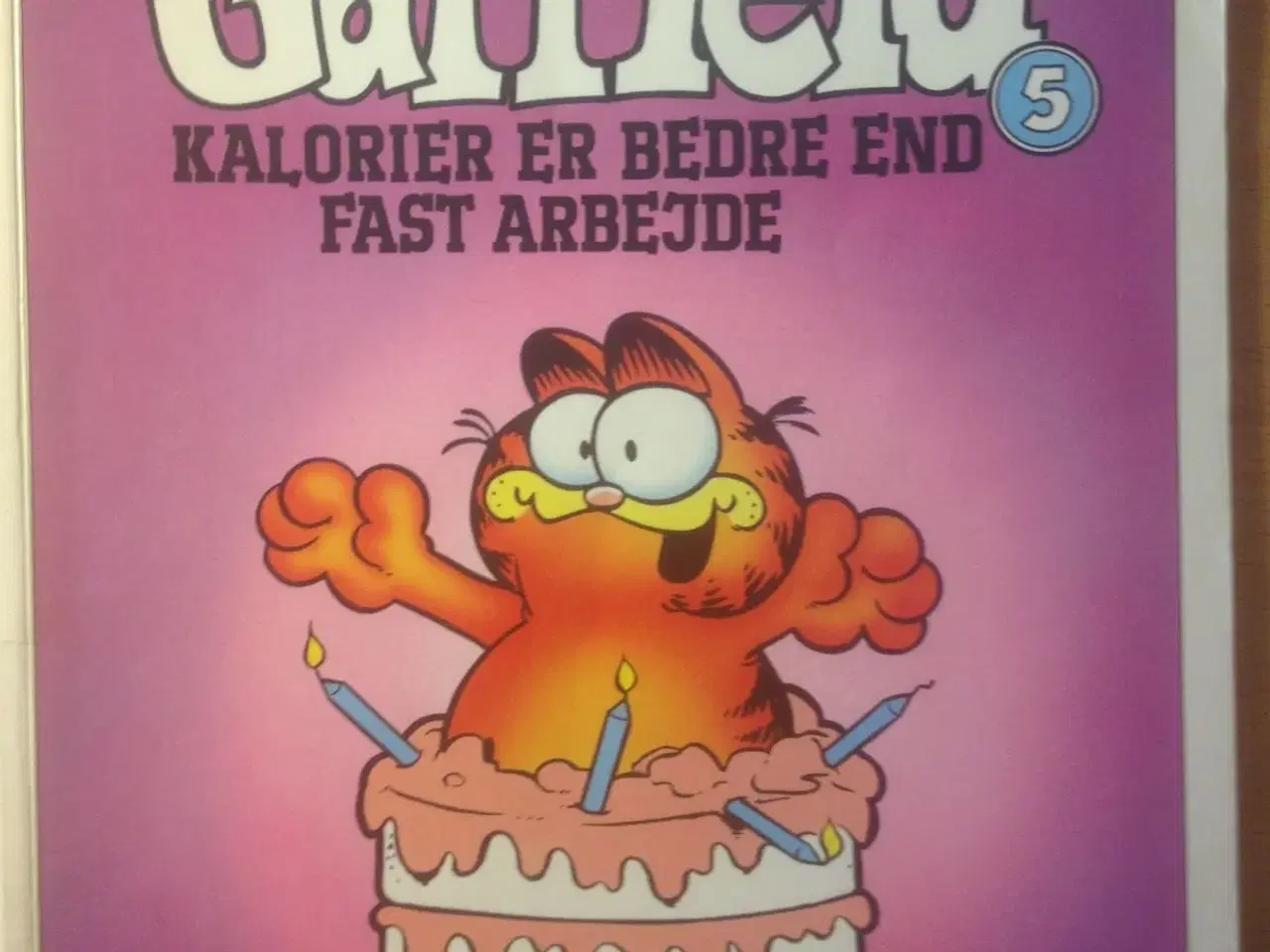 Billede 1 - Garfield 5: Kalorier er bedre end fast..