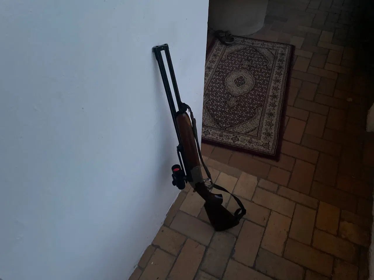 Billede 1 - KØBES 9,3x74R dobbelt riffel