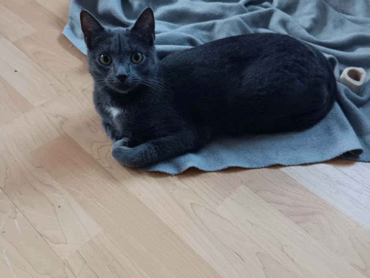 Billede 2 - Grundet flytni g