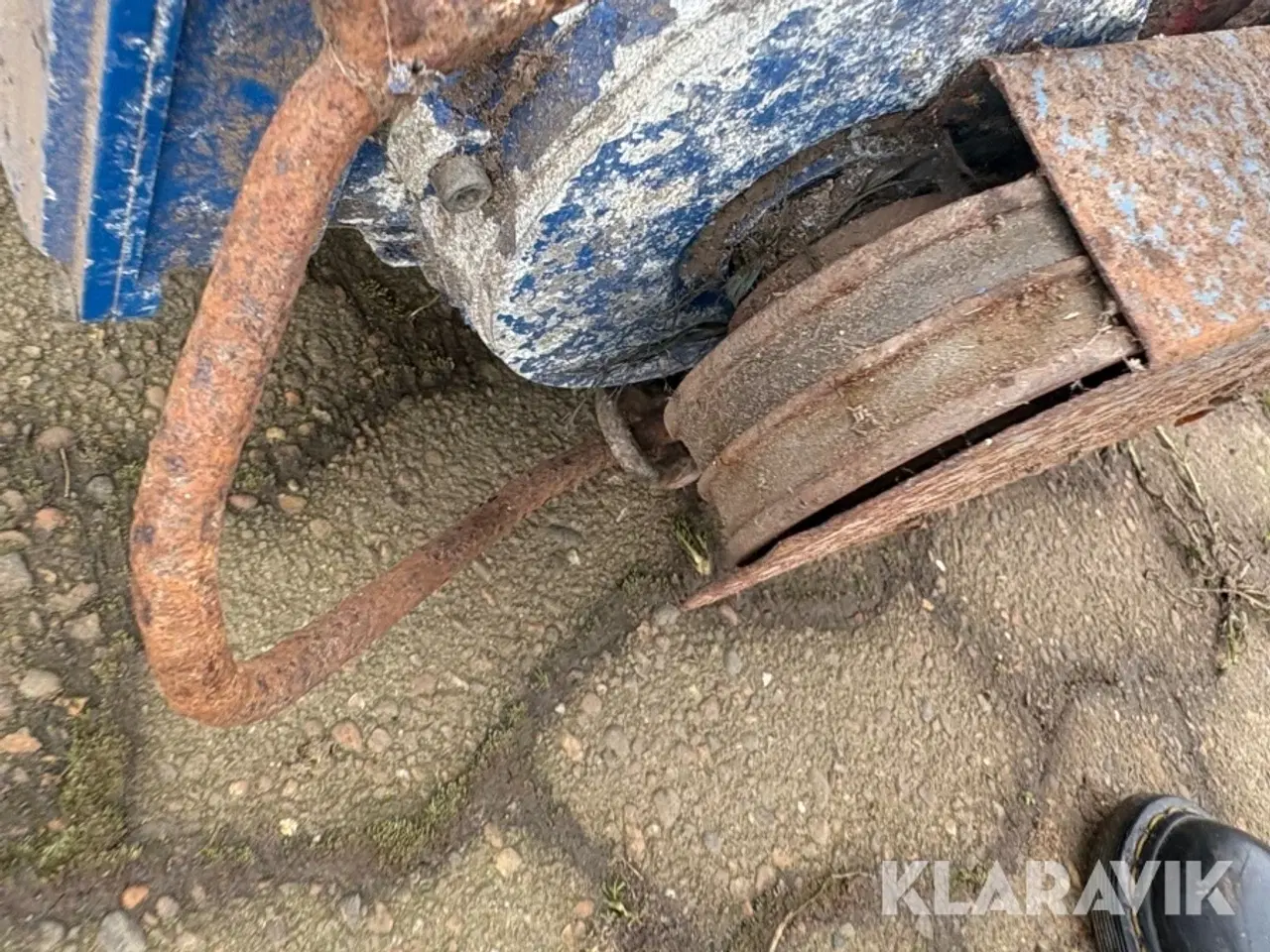 Billede 9 - Kornsnegl