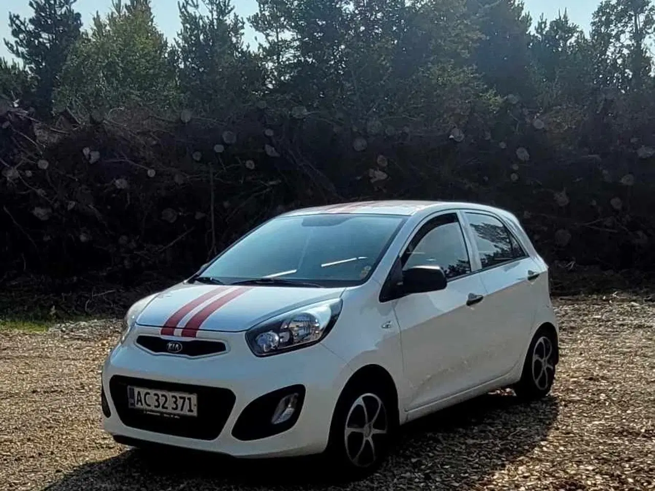 Billede 1 - Frisk Kia picanto