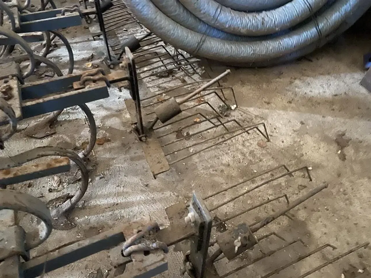 Billede 3 - Uggerløse 6 rækket m/beskyttelsruller og strigle