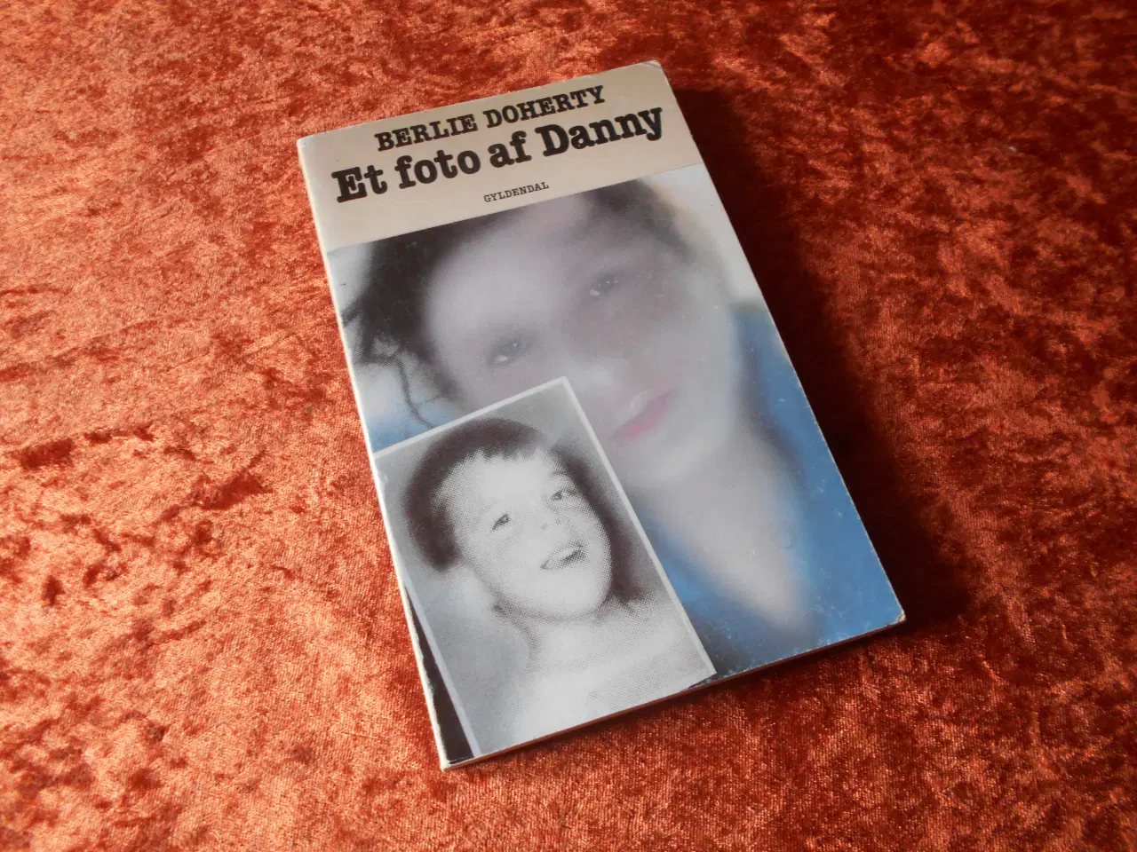 Billede 1 - Et foto af Danny, Berlie Doherty