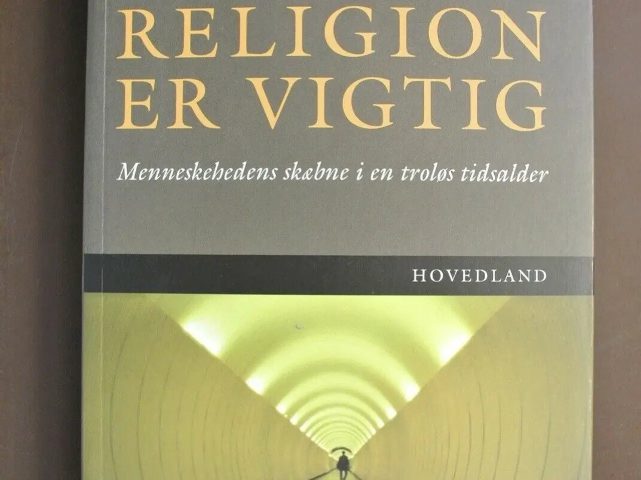 Billede 1 - hvorfor religion er vigtig. menneskeåndens skæbne 
