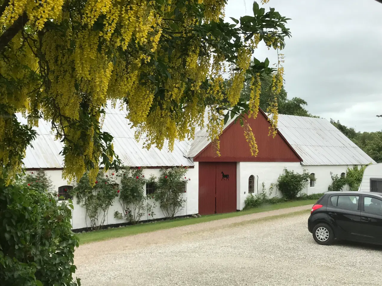 Billede 7 - 2 boliger v. skov, fjord og Glyngøre. 