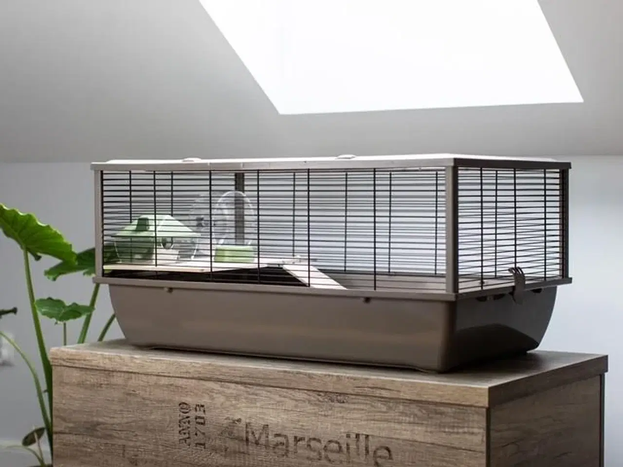 Billede 1 - Gnaverbur INTER-ZOO Bob Wood Japandi – 78 × 36 × 48 cm