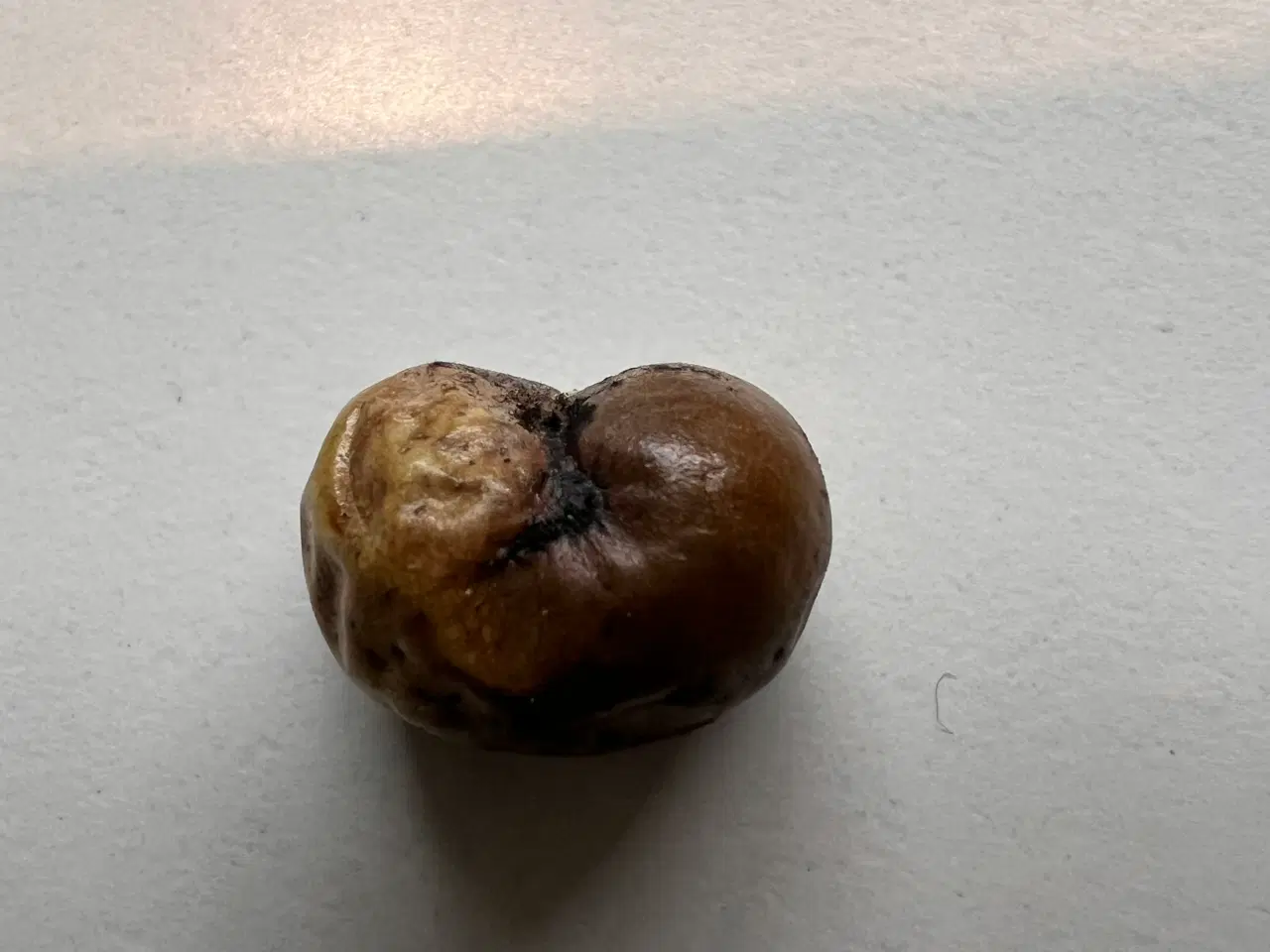 Billede 2 - Palmer Dansk produceret