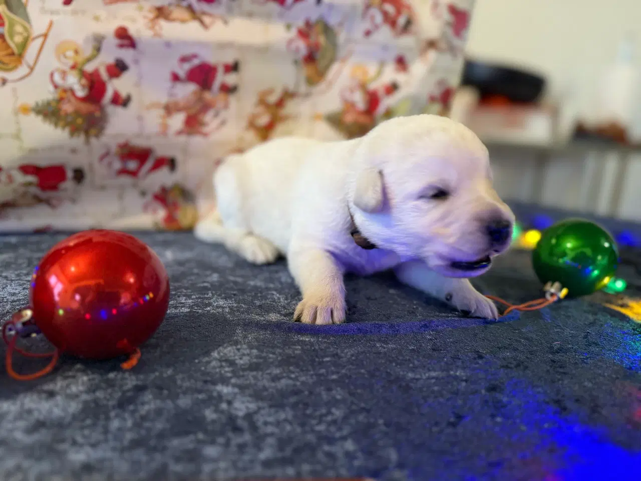 Billede 2 - Ønsker i en blød julegave 3 tilbage