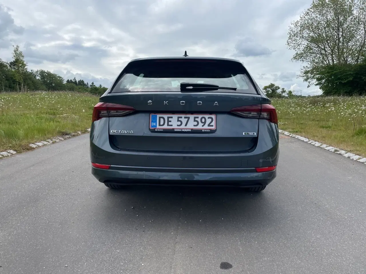 Billede 7 - Skoda Octavia 1,5 eTSi 150 Ambition Combi DSG