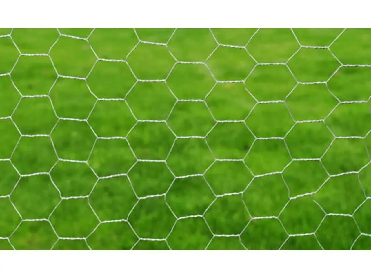 Billede 3 - Hønsenet galvaniseret stål 25 x 1 m sølvfarvet