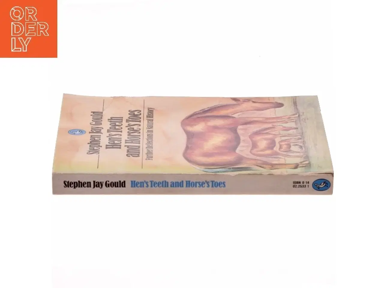 Billede 2 - Hen's Teeth and Horse's Toes af Stephen Jay Gould (Bog)