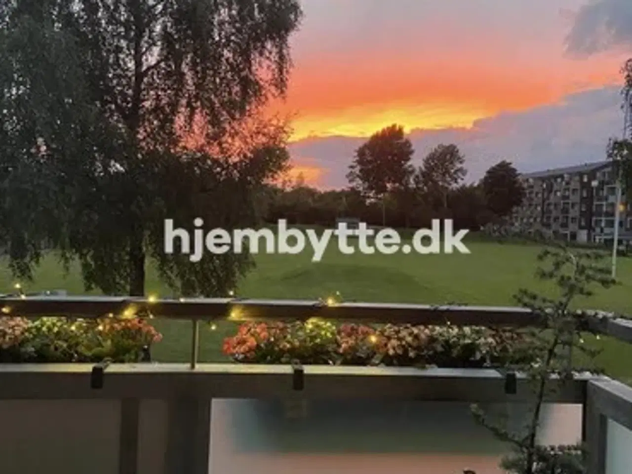 Billede 1 - Hjembytte - Malurthaven