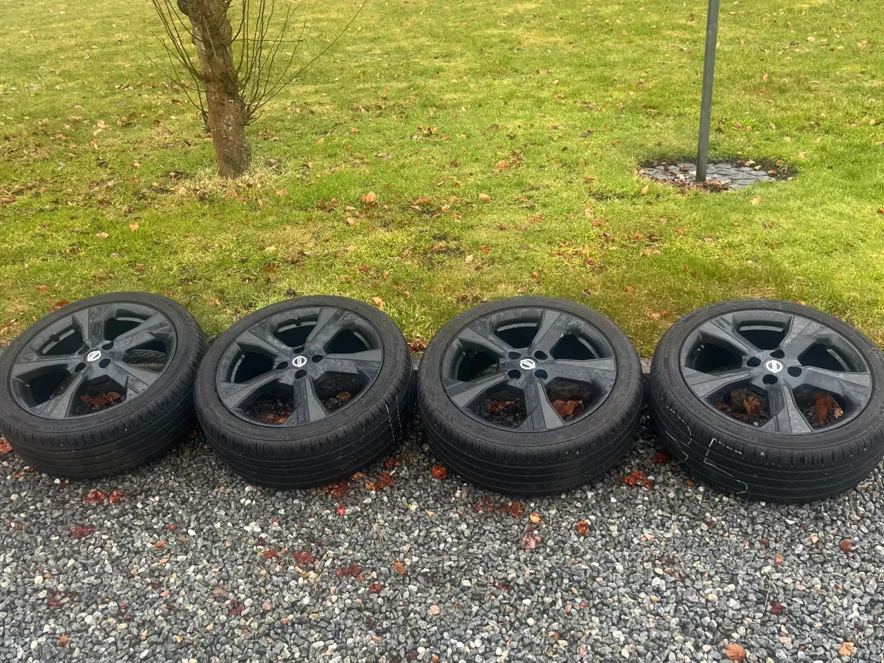 Billede 3 - Sommerdæk 