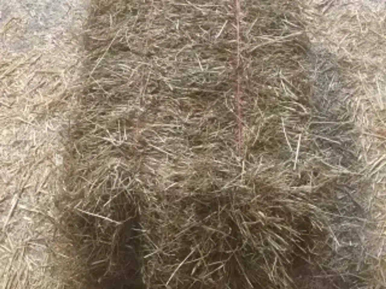 Billede 1 - Hø fra 25