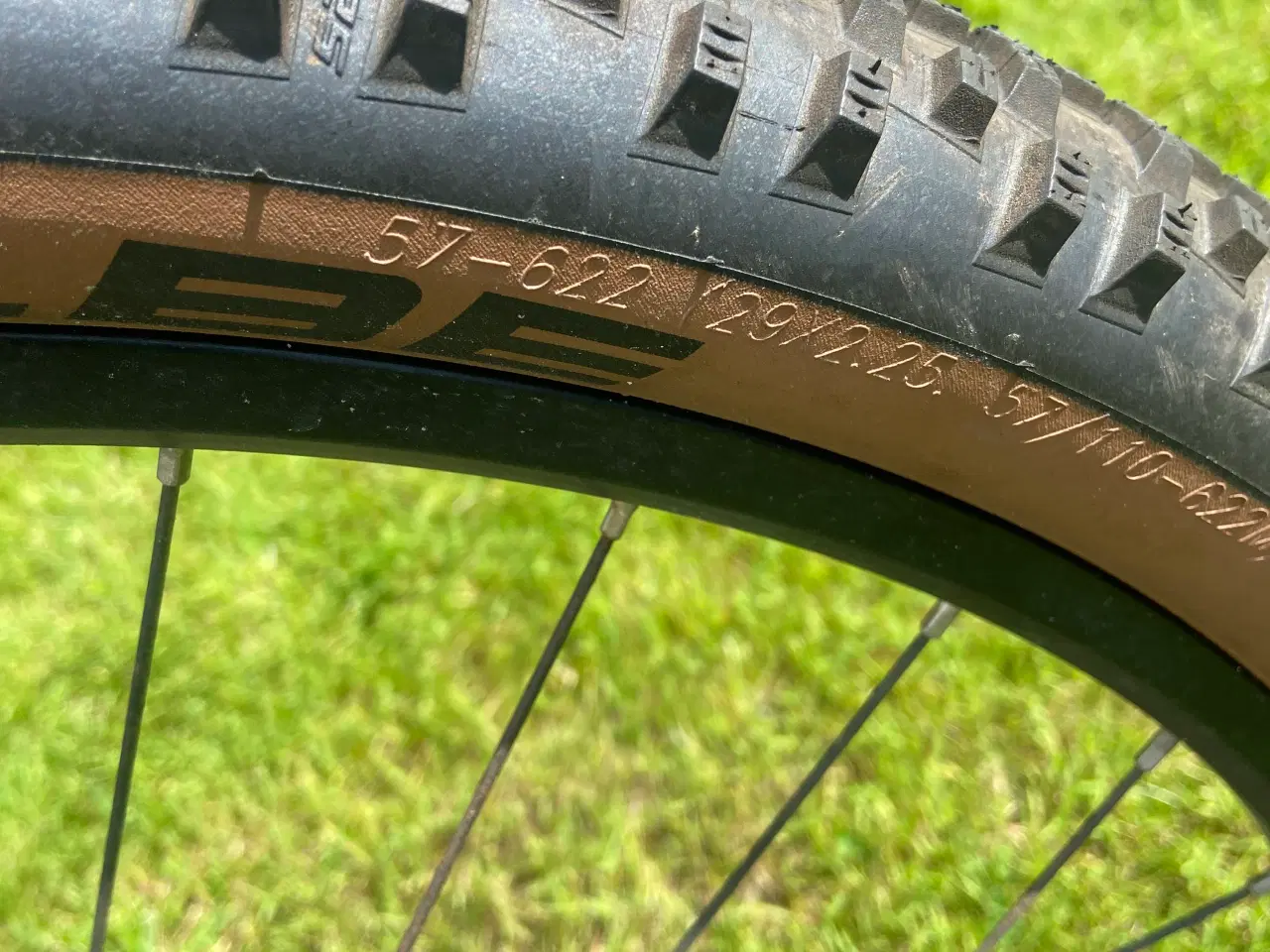 Billede 6 - 29" Focus Whistler Large 12 gear