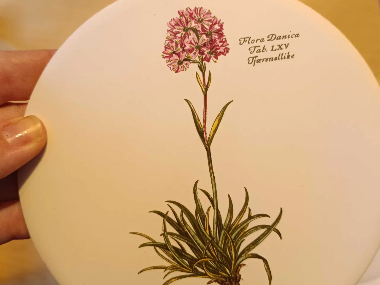 Billede 2 - Flora Danica Platte sæt