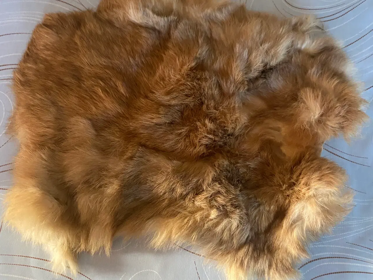 Billede 1 - Kaninskind