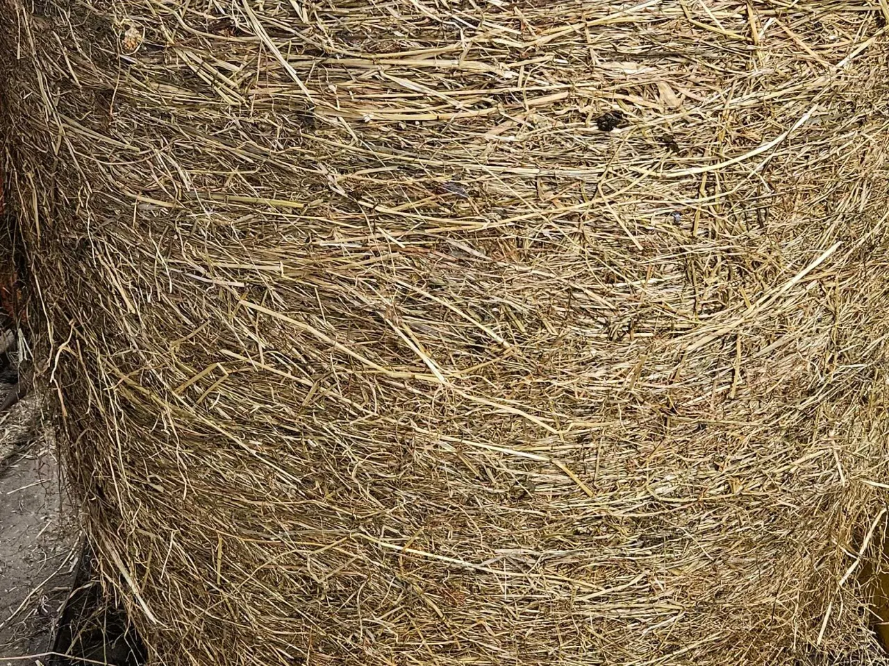 Billede 2 - Wrap af kløvergræs