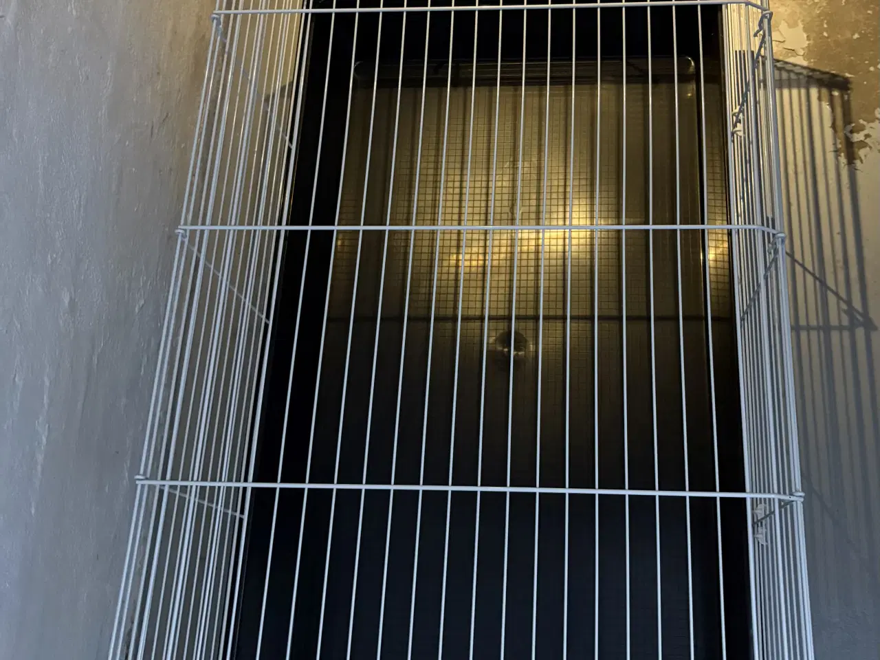 Billede 3 - GNAVERBUR til kanin og marsvin