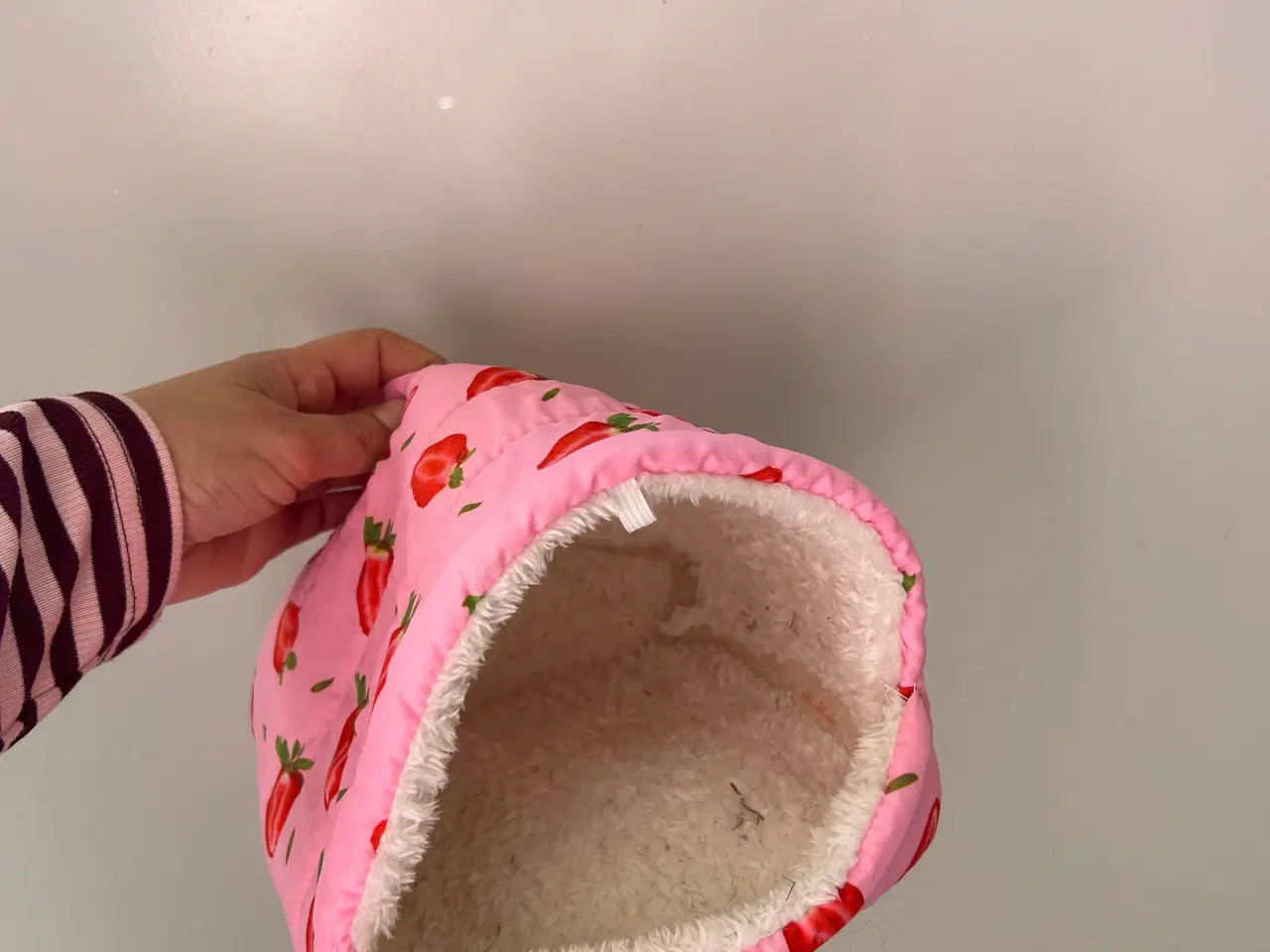 Billede 8 - Komplet marsvin sæt