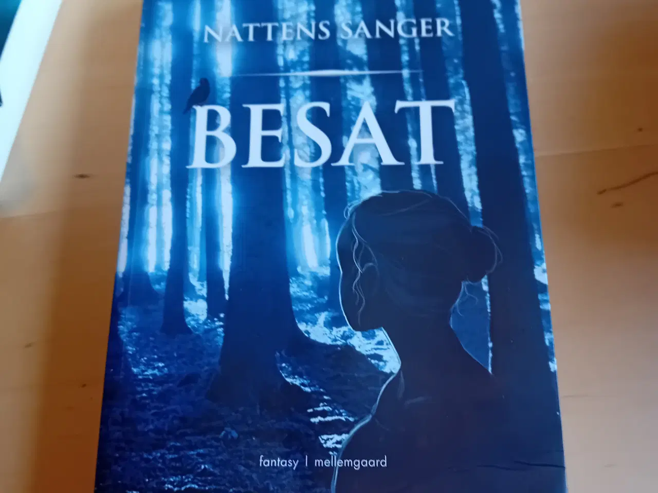 Billede 3 - Kendte Ungsomsbøger ikke brugt