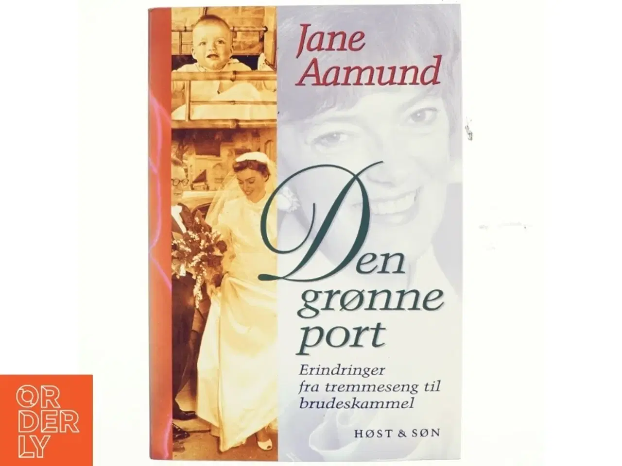 Billede 1 - Den grønne port af Jane Aamund