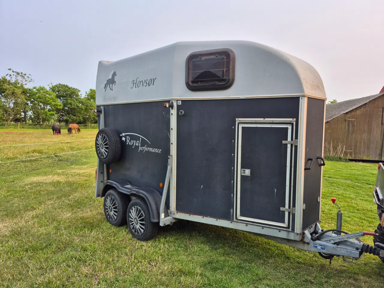 Billede 3 - Hestetrailer 1500kg nysynet.