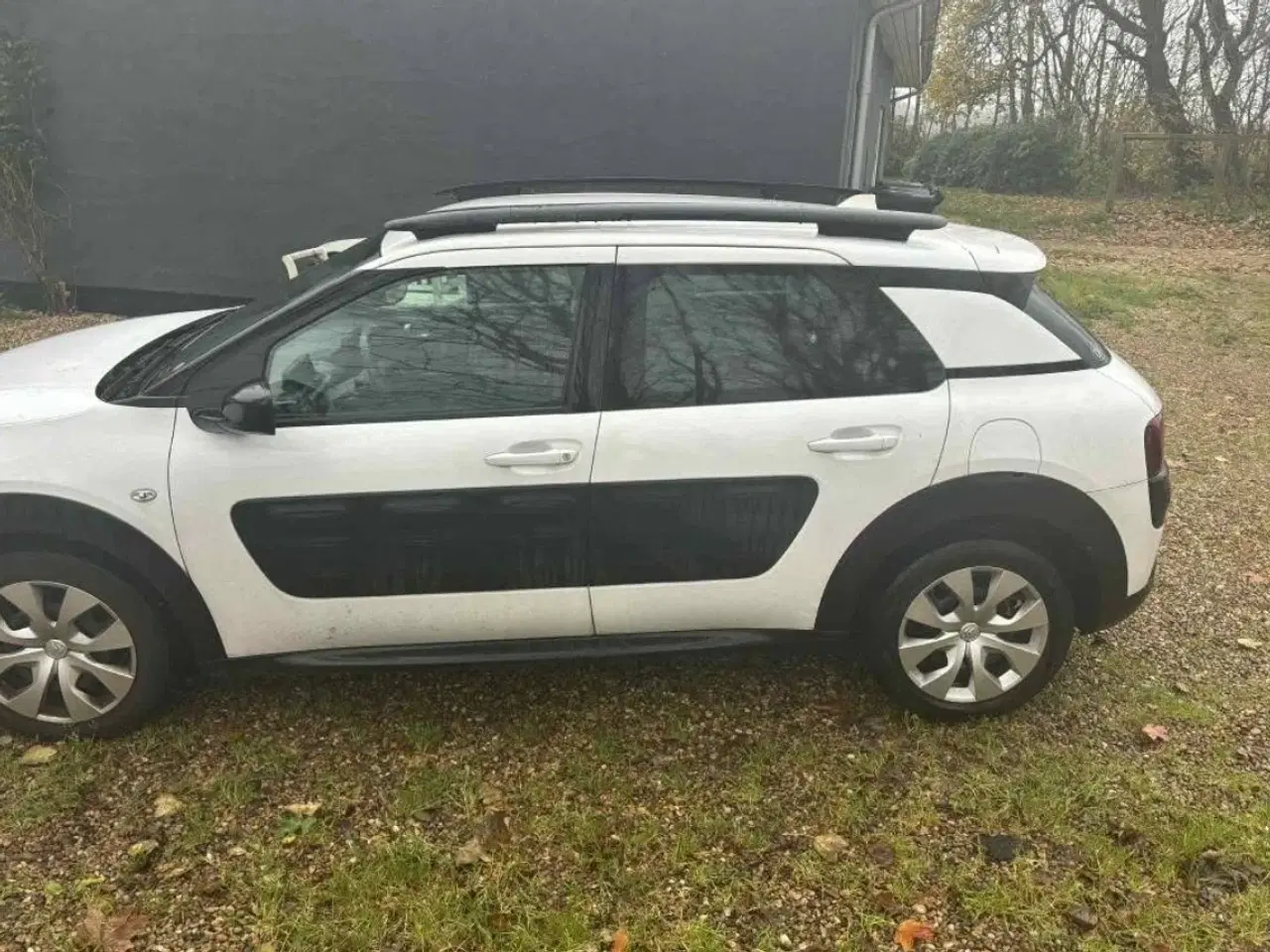Billede 4 - Citroën C4 Cactus 1,6 BlueHDi 100 Feel ETG6