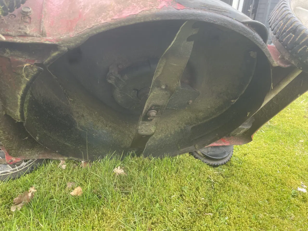 Billede 5 - Honda motor plæneklipper 