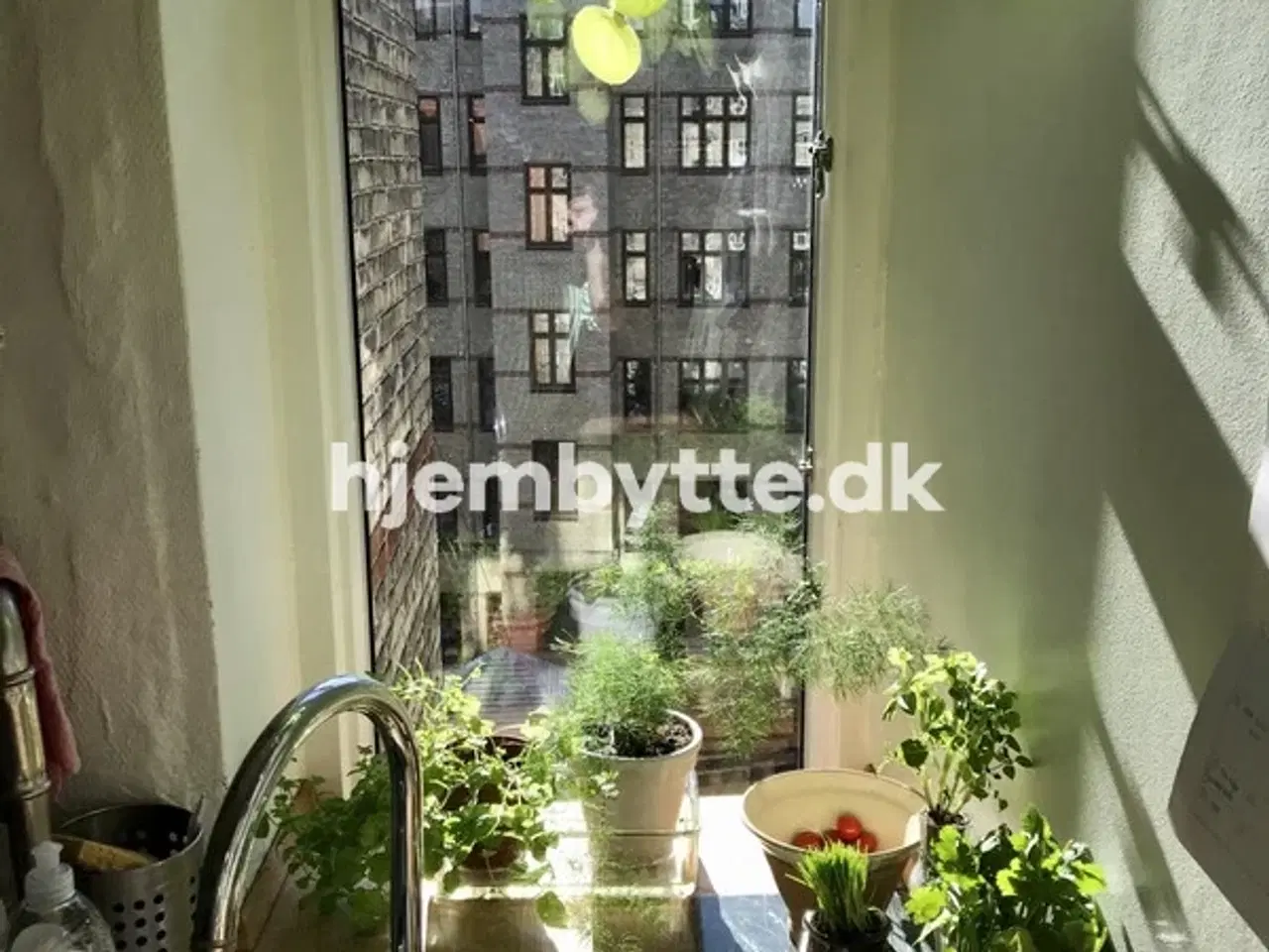 Billede 5 - Hjembytte - Næstvedgade