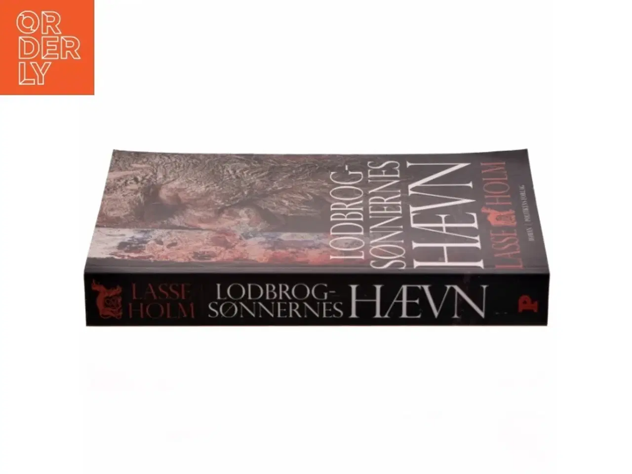 Billede 2 - Lodbrogsønnernes hævn : roman af Lasse Holm (f. 1968) (Bog)