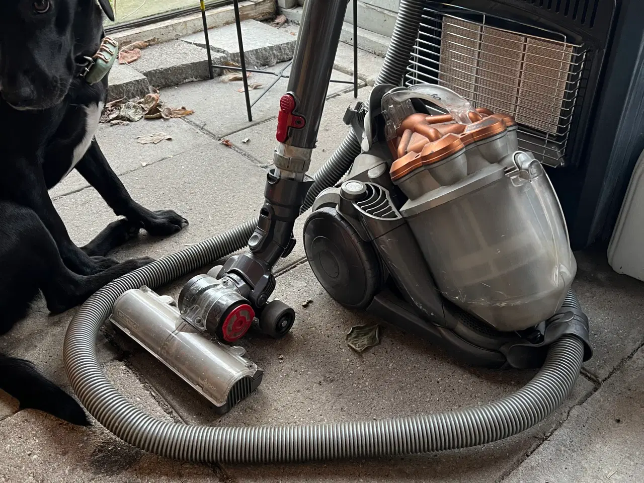 Billede 1 - Dyson støvsuger 