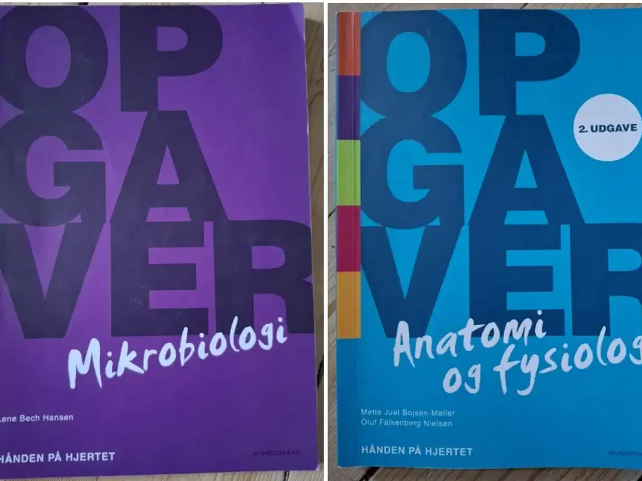 Billede 3 - Anatomi & fysiologi + Mikrobiologi pakke