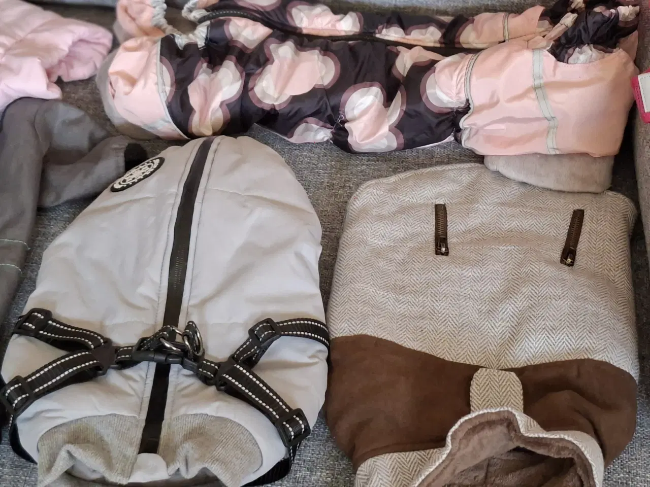 Billede 1 - Diverse hundeting klipper m.m