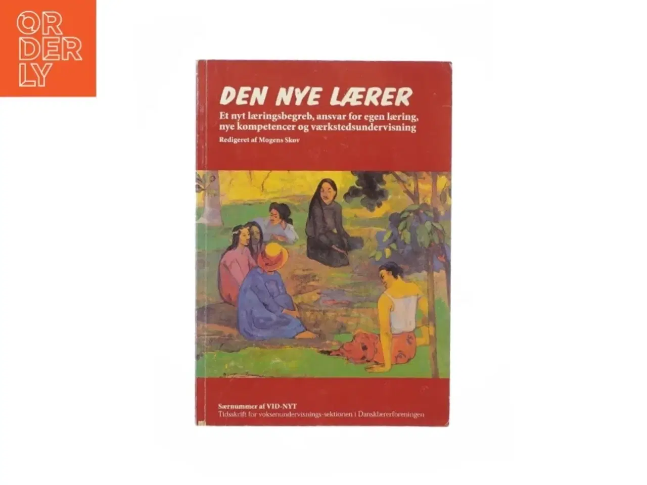 Billede 1 - Den nye lærer af Mogens Skov (Bog)