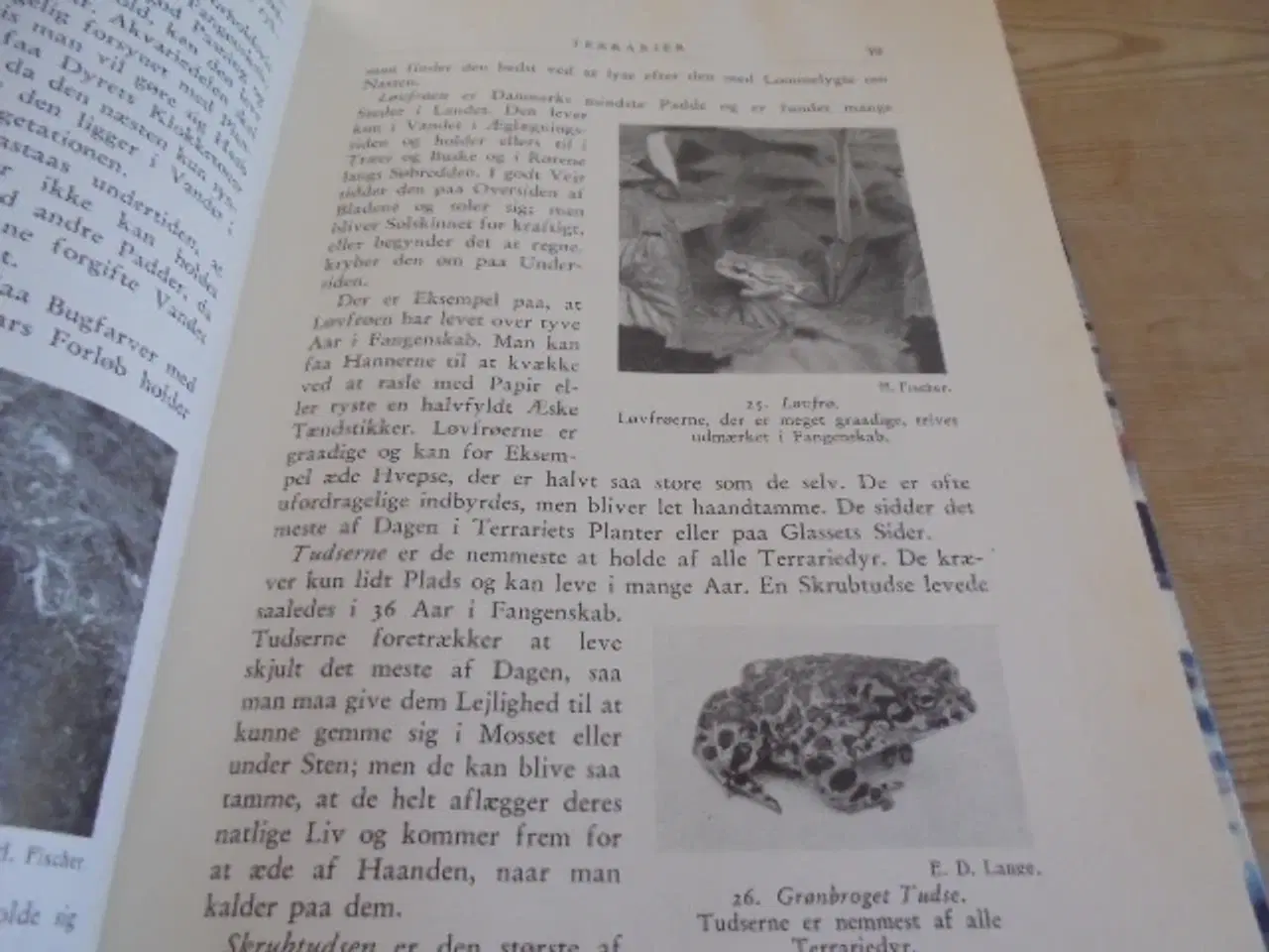 Billede 2 - Natursamleren – Hans Hvass – udg. fra 1942  