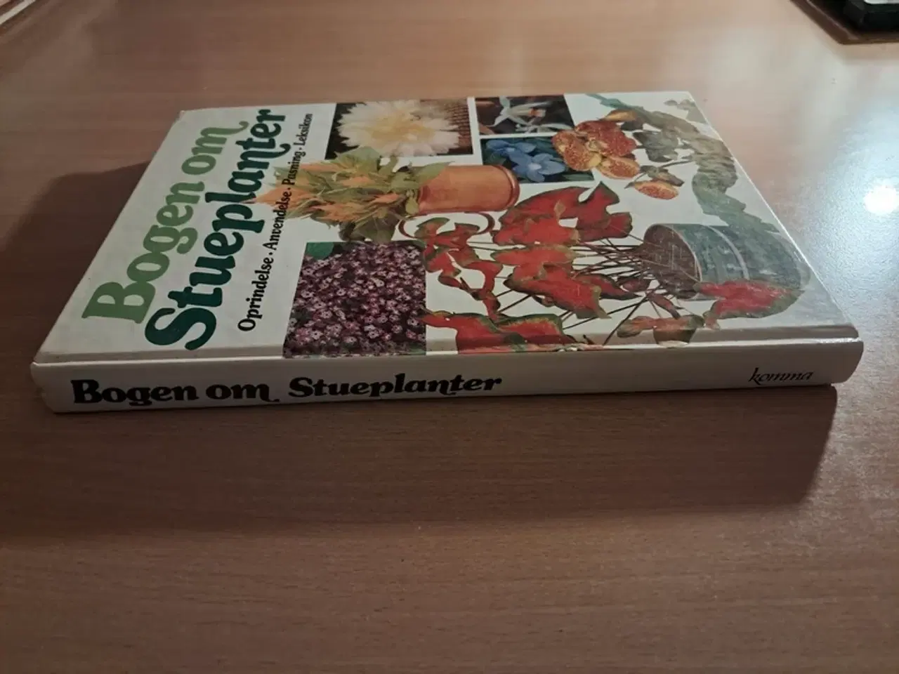 Billede 3 - Bogen om Stueplanter Bog