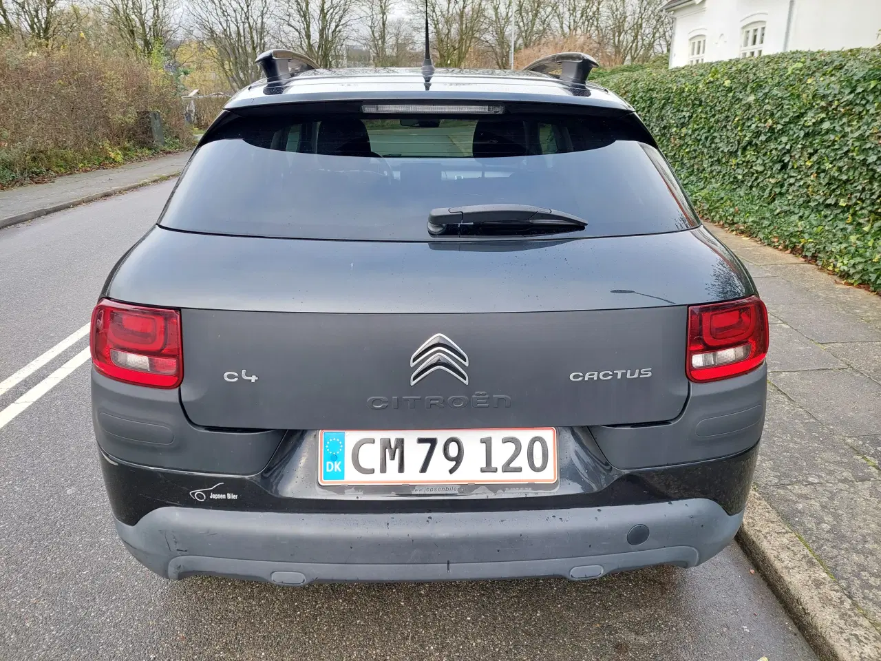 Billede 3 - Citroen C4 Cactus