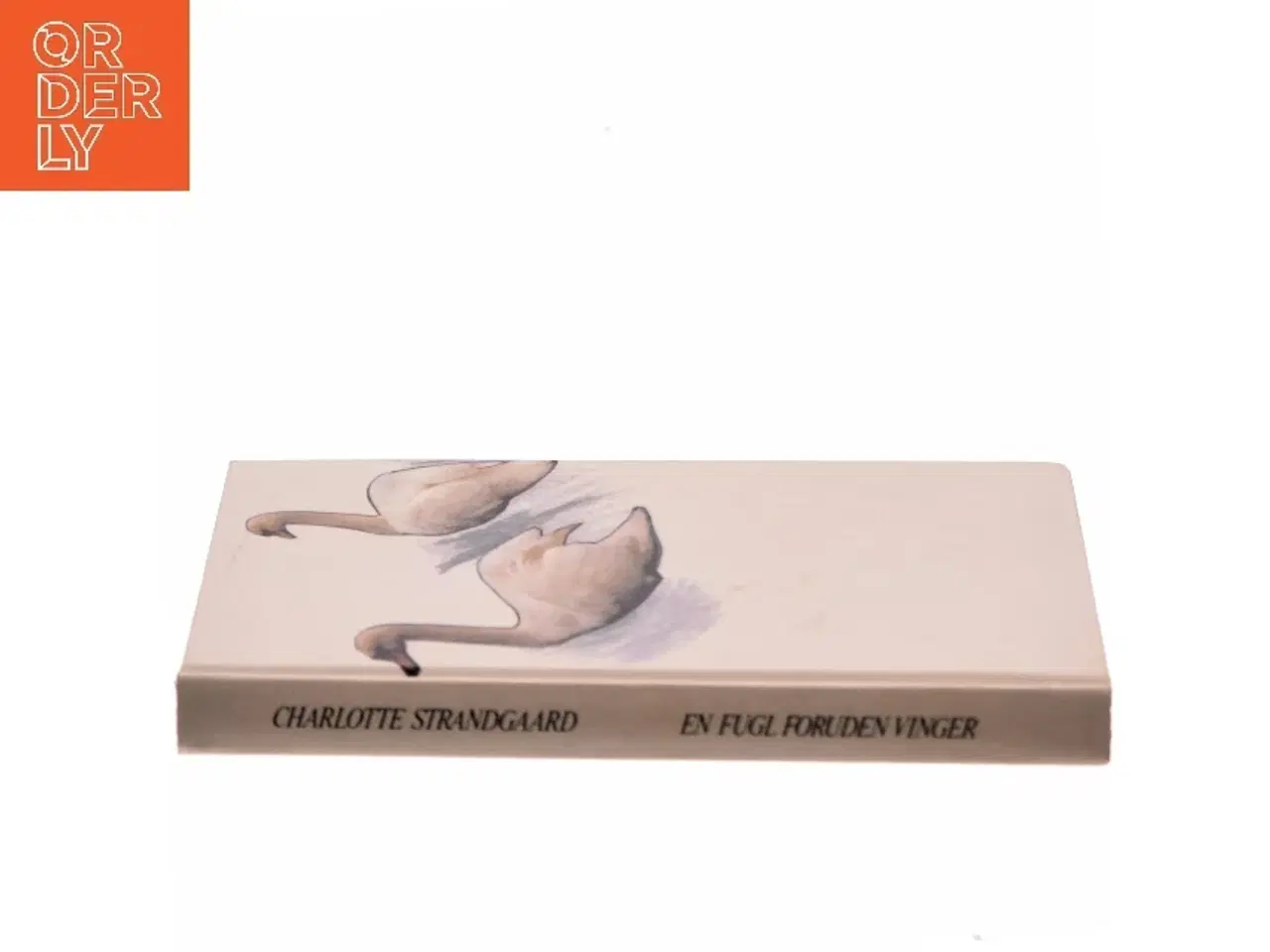 Billede 3 - En fugl foruden vinger af Charlotte Strandgaard (Bog)